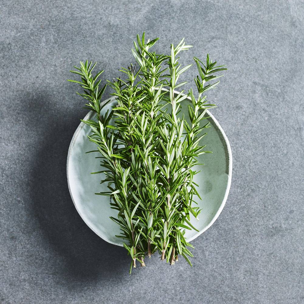 Rosemary Seeds - Herbs - Australian Wheatgrass