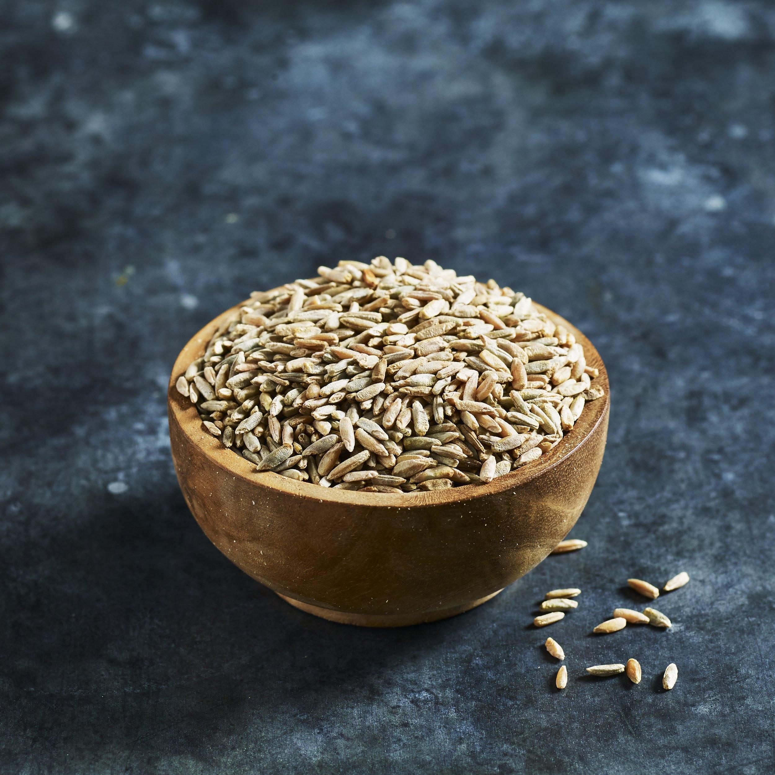 Rye Grain Seeds - Sprouting - Australian Wheatgrass
