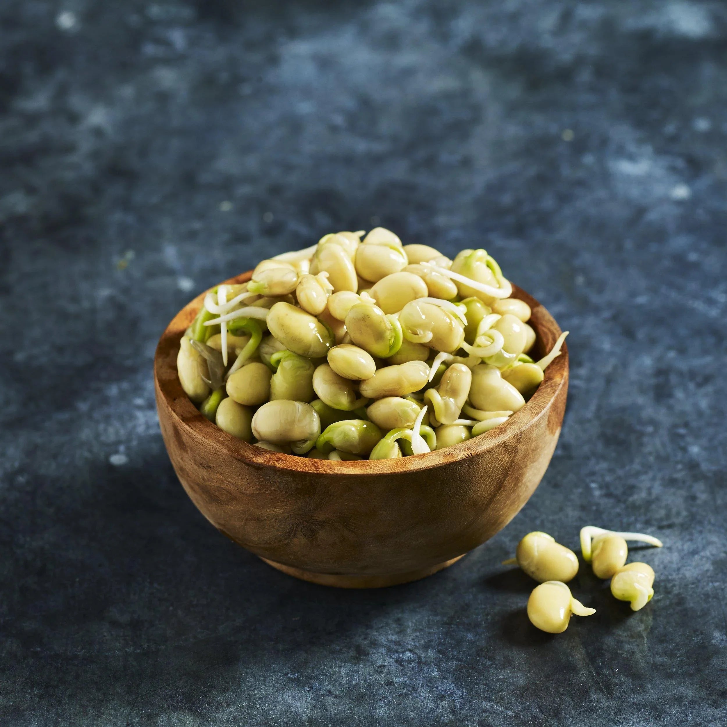 Soybean Seeds - Australian Wheatgrass