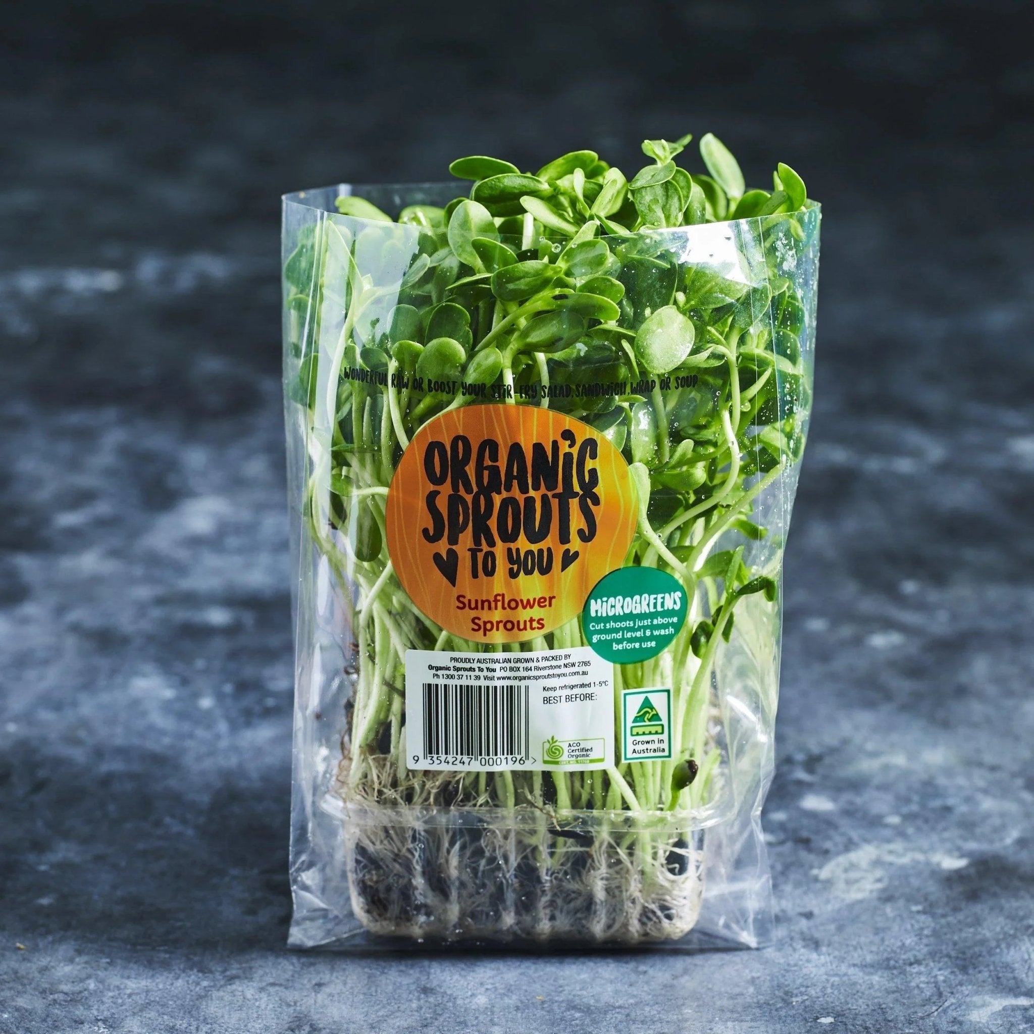 Sunflower Sprouts - Australian Wheatgrass