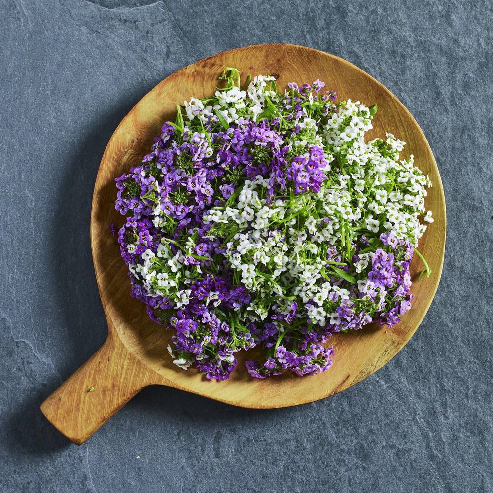 Alyssum Easter Bonnet Seed Mix - Australian Wheatgrass