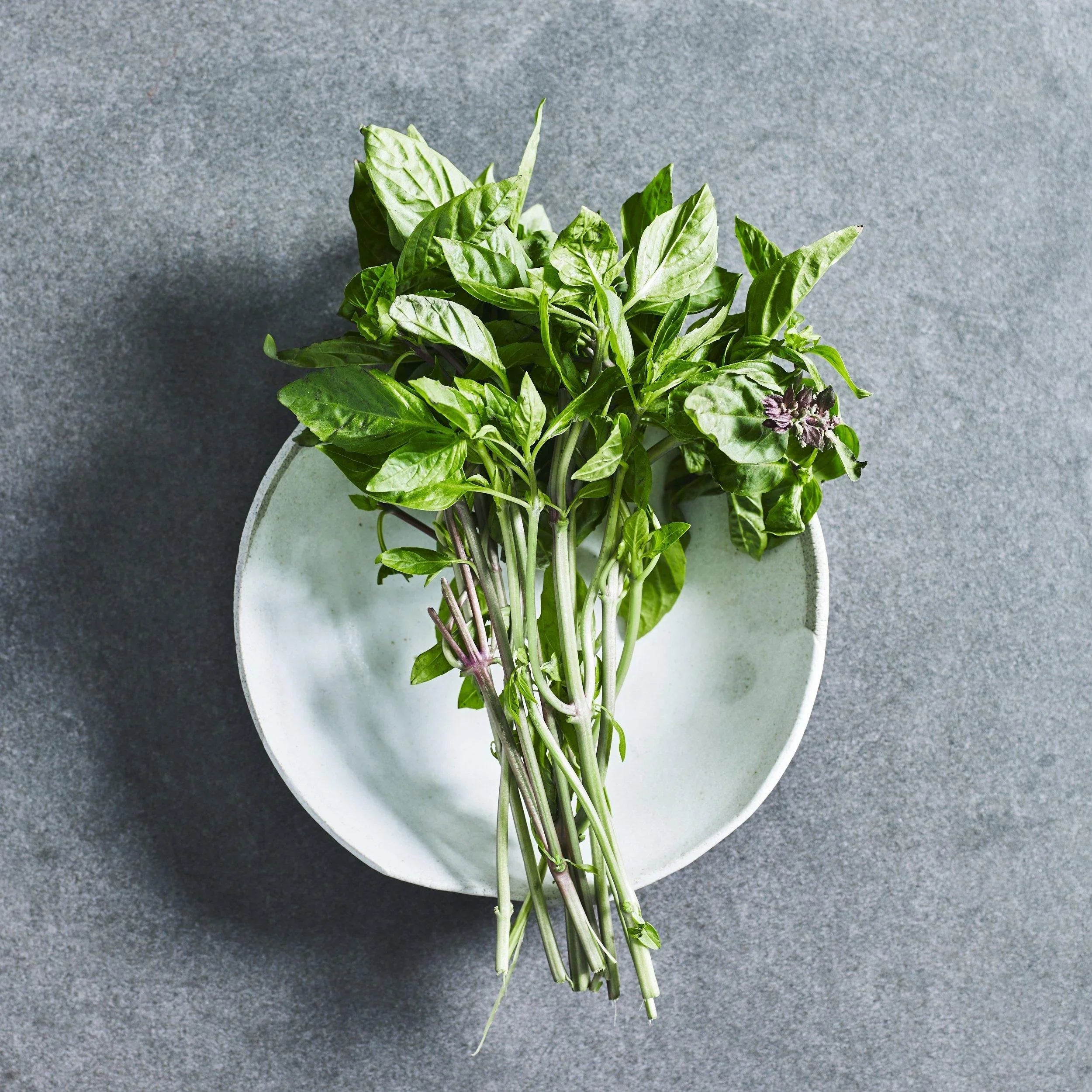 Basil Thai Seeds - Herbs - Australian Wheatgrass