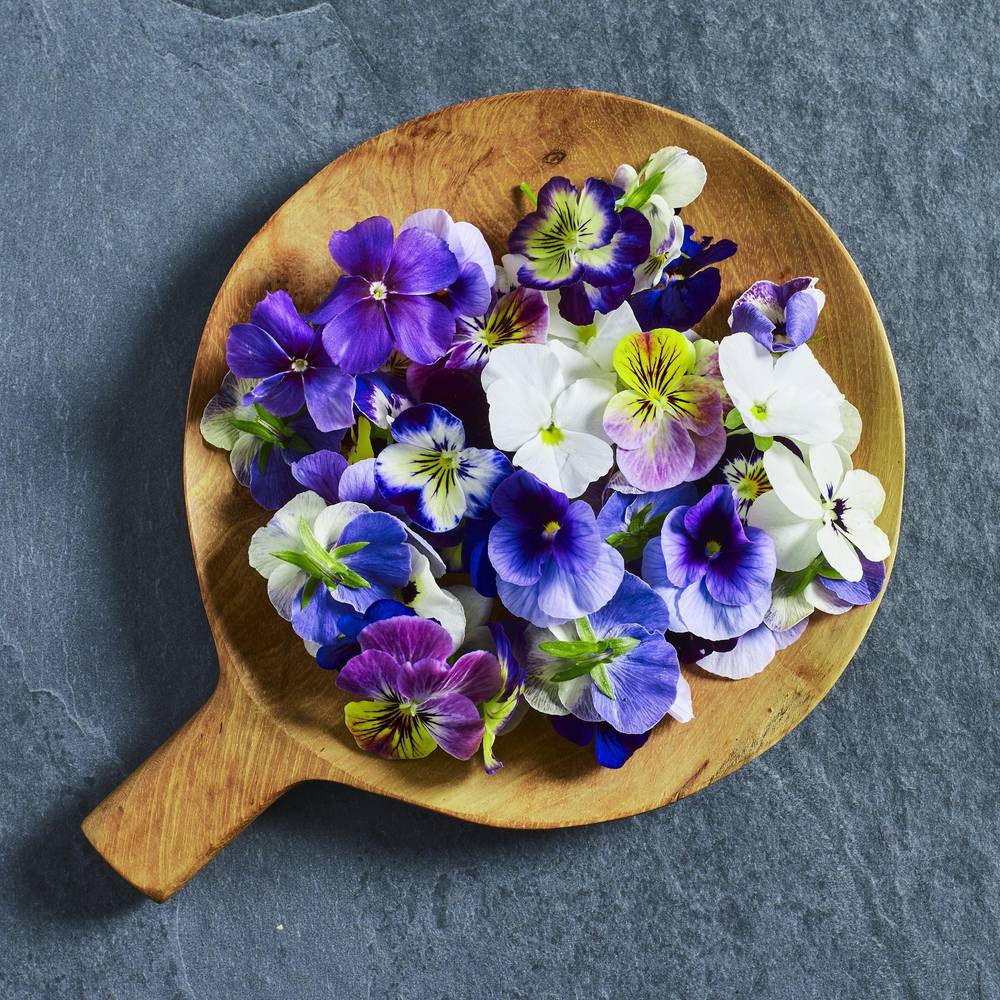 Viola Sorbet XP Mix Seeds - Australian Wheatgrass