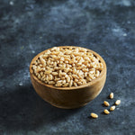 Wheatgrass Seeds - Sprouting - Australian Wheatgrass