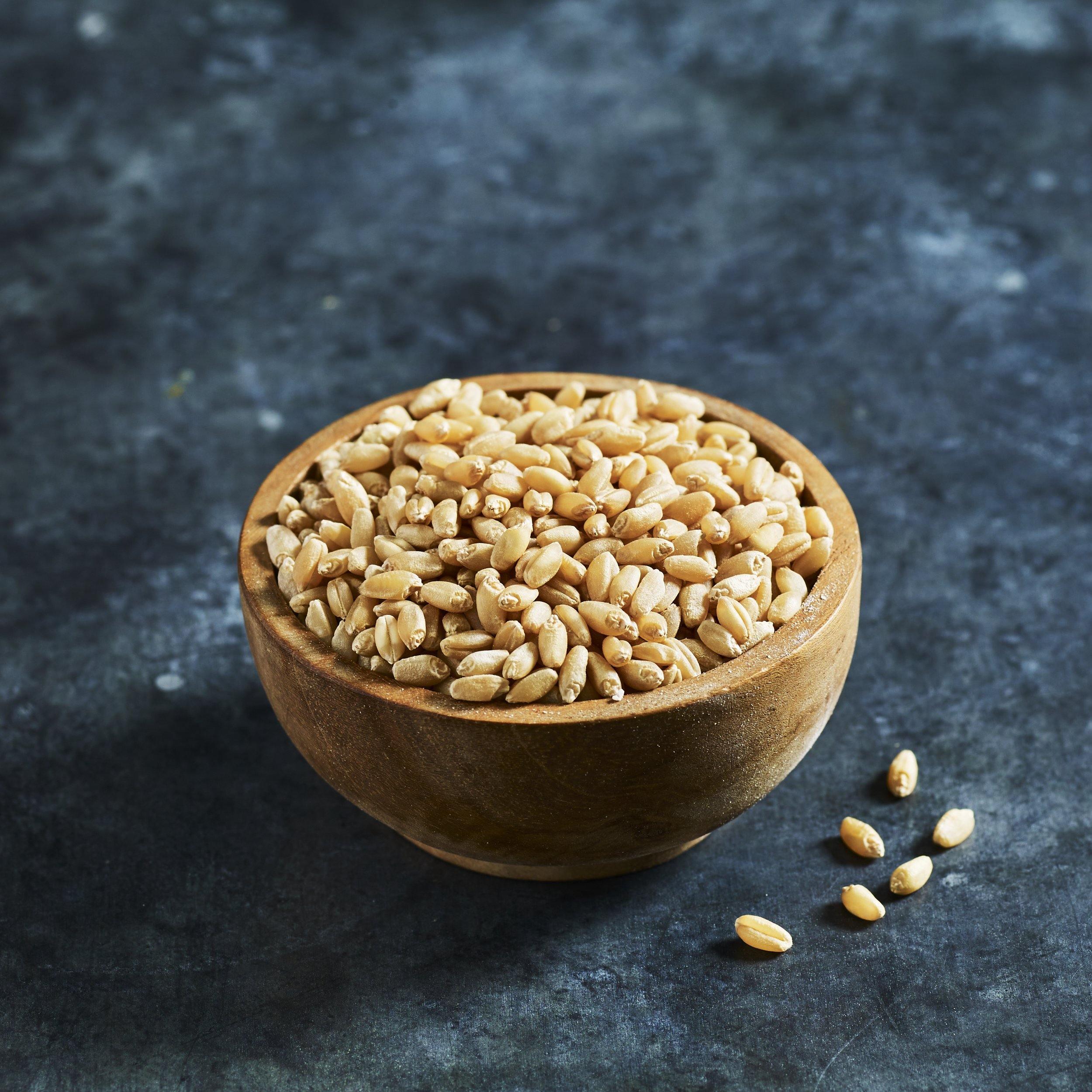 Wheatgrass Seeds - Sprouting - Australian Wheatgrass